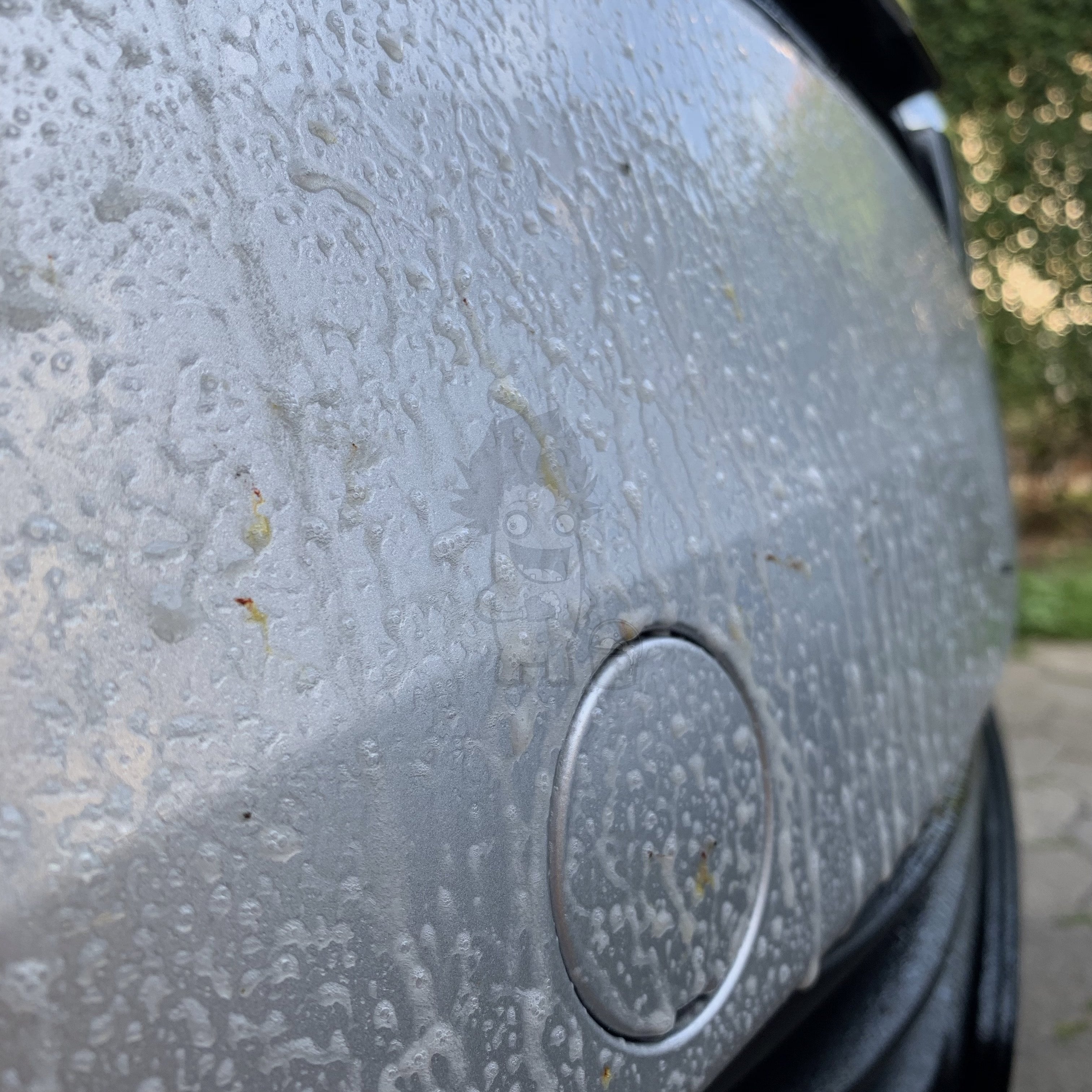 Auto Glanz Bug Off Insektrens