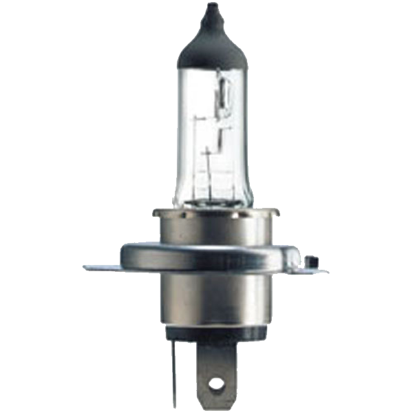 Hs1 extraduty 12v 35/35w px43t