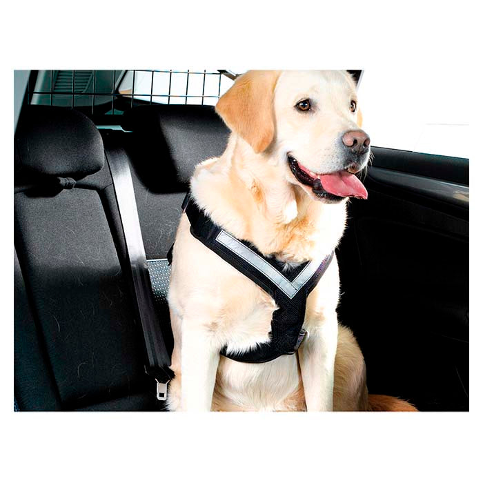 Hundesele MIMsafe Allsafe - Large