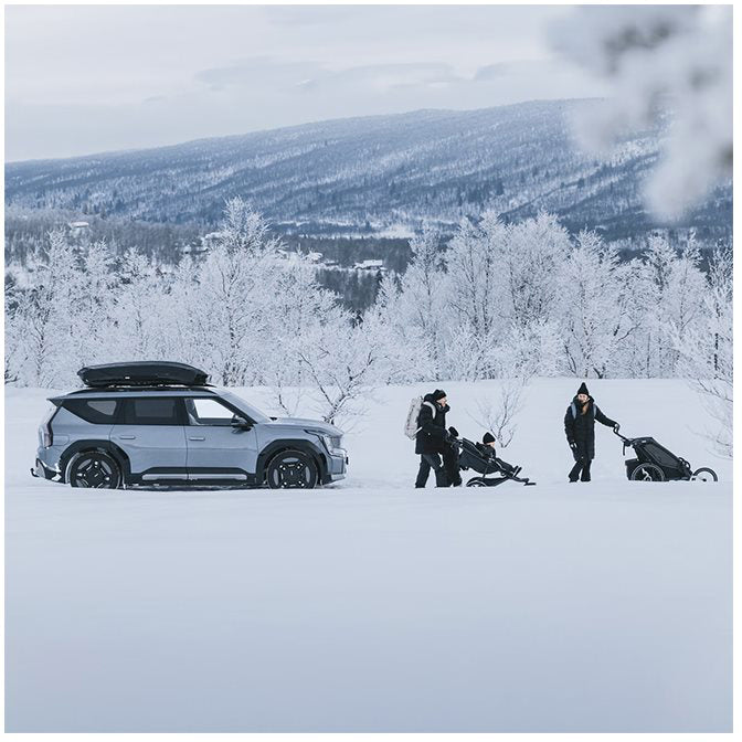 Thule Motion 3 L black glossy